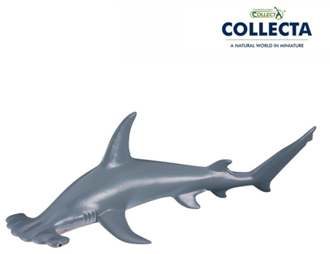 컬렉타 귀상어 88045, 1개