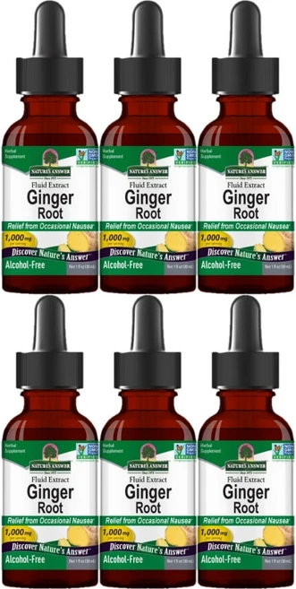 네이처스앤서 고흡수 생강 뿌리 1000mg 액상 액체, 6개, 30ml - 쿠팡