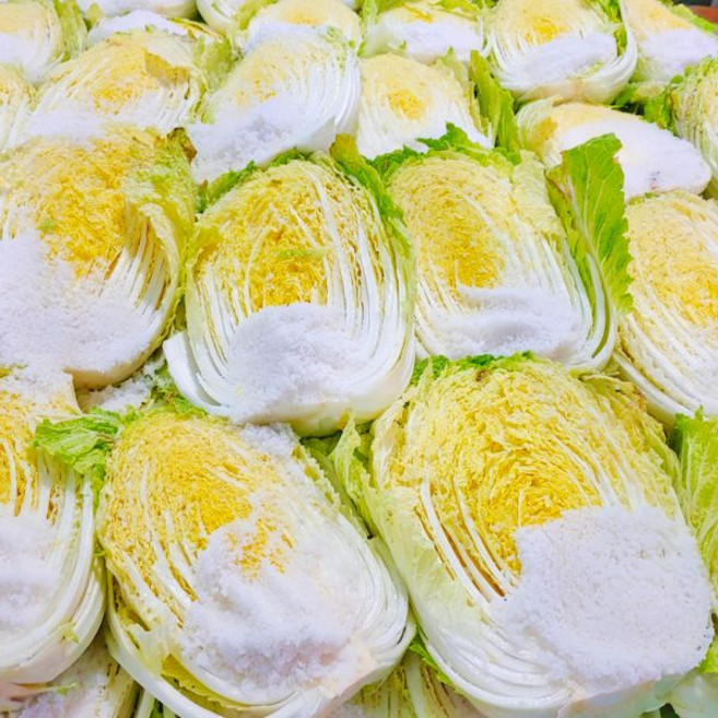 강원도 절임배추 김장 절인 배추 20kg 아삭한 고랭지배추, 12월13일(토)