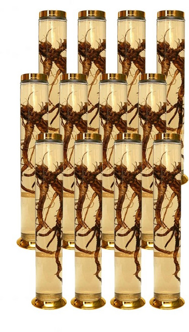 수동 36호 일자형 유리병, 2L, 12개