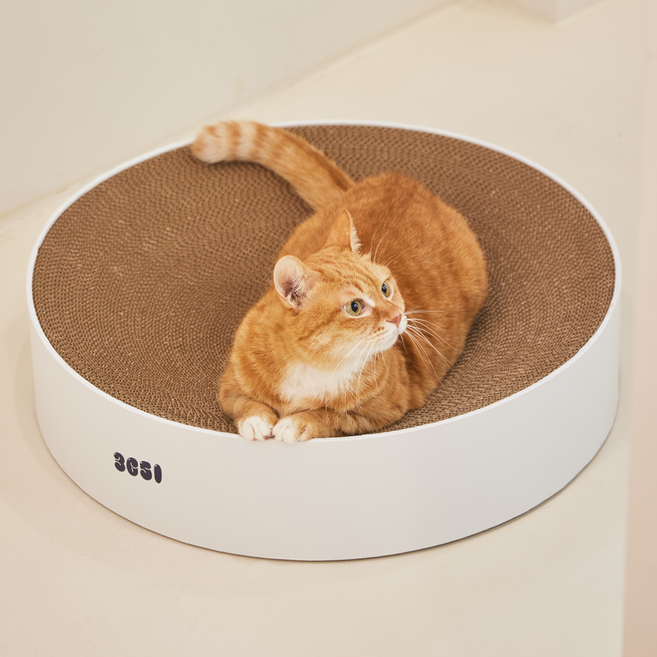 삼육오일 벅벅 고양이 고강도 둥지 원형 스크래쳐, 혼합색상, 1개