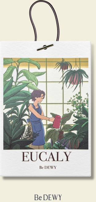 비듀이 퍼퓸 샤쉐 차량용 옷장 에어 프레셔널 20g 5종, 유칼리, 1개