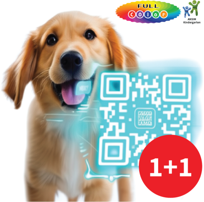 하이태그 하이큐알펫 미아방지 네임택 QRcode 수정가능한 QR 애완동물 반려동물 이름표 네임택 QR택, 1개, 그레이