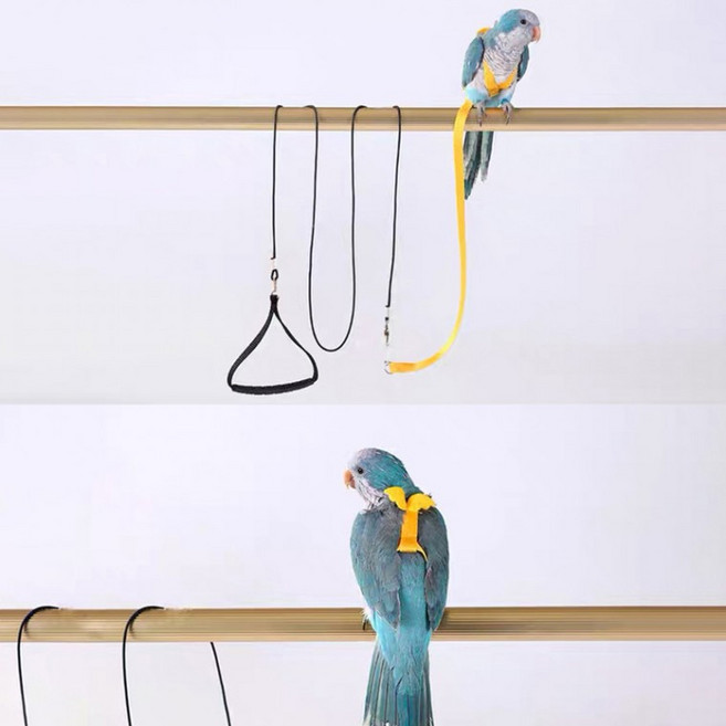 앵무새 하네스 리드줄 가슴줄 외출 산책 발목링 산책줄 앵무새외출용, S, 옐로우, 1개