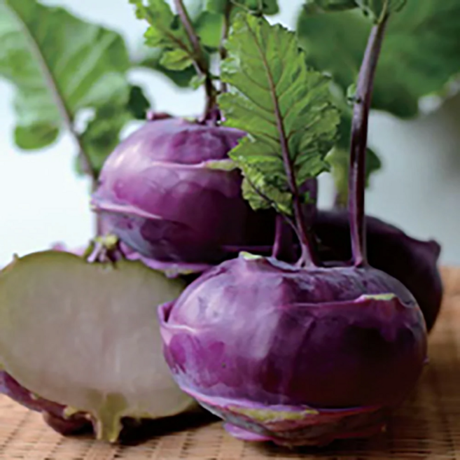 국내산 생 콜라비 식감좋은 아삭채소, 1세트, 2kg