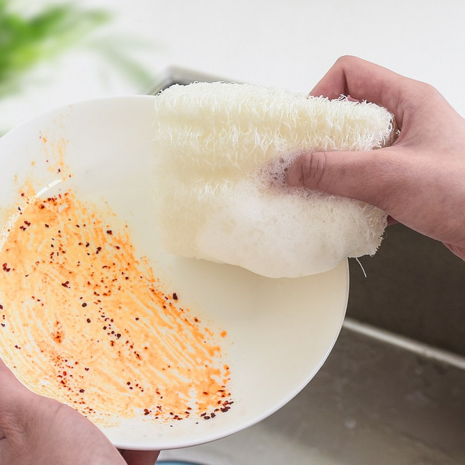 모든집 1+1 자연으로 돌아가는 친환경 제로웨이스트 천연 수세미, 1세트, 1+1 자연수세미_백색, 1개