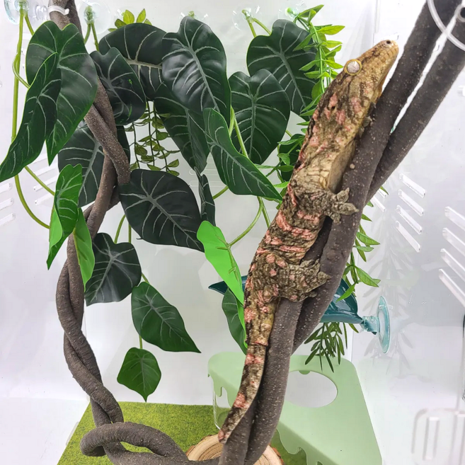 보물찾기 크레스티드게코 백업 파충류 용품 도마뱀 인조식물 나무장식1M 2M 다양한 사이즈 넝쿨인조식물 사육장 꾸미기, 길이 1M