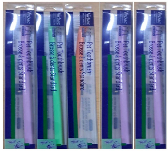 버박 강아지 미니칫솔, 5개, 랜덤