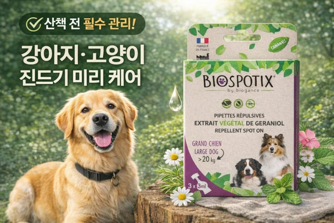 머멀 바이오스파틱스 강아지 진드기 케어 스팟온 천연 성분 반려동물 외부활동 관리, 1개, 9ml, 대형견용 - 쿠팡