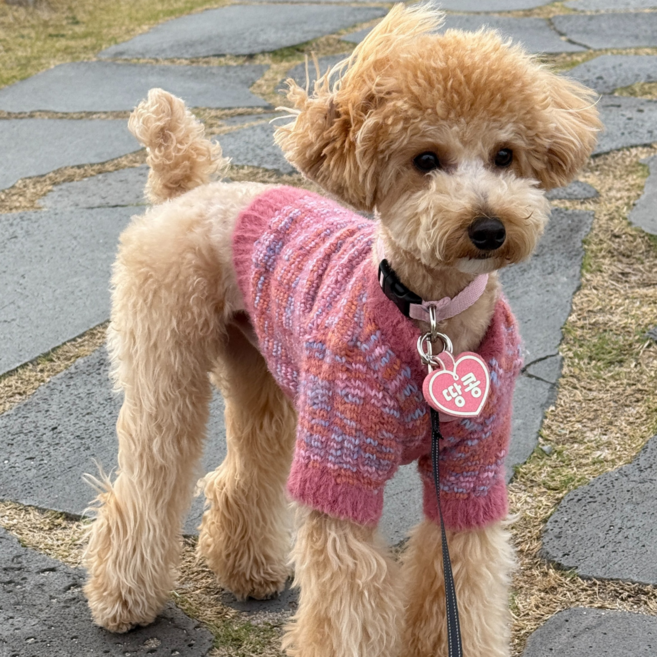 강아지 인식표 목걸이 애견 이름표 반려견 야광 하트네임택, 1개, 24번(블루+화이트)