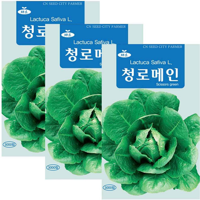 청로메인 씨앗 로메인 씨 3000립, 3개