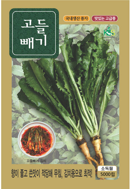 영농사 고들빼기 씨앗 5000립, 3개