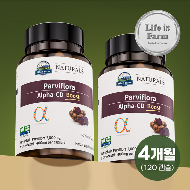 라이프인팜 파비플로라 알파CD 부스트 흑생강 2000mg 120비건캡슐 4개월분 추출물, 2개, 60정