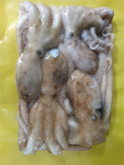 다원 급냉 활낙지 3미 또는 4미 850g(낙지볶음용), 850g(3~4미), 1개