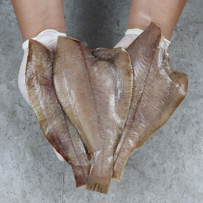 알배기 가자미 찐어부의 알배기 미주구리 기름가자미 1박스, 반건조 알 가자미 특대1k