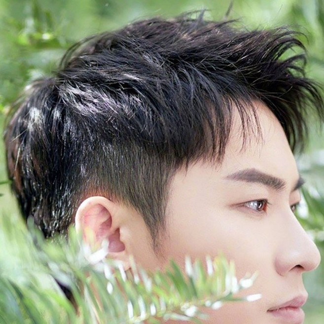 인모 투블럭 댄디컷 남자 가발 통가발 데일리, 블랙(004), 1개