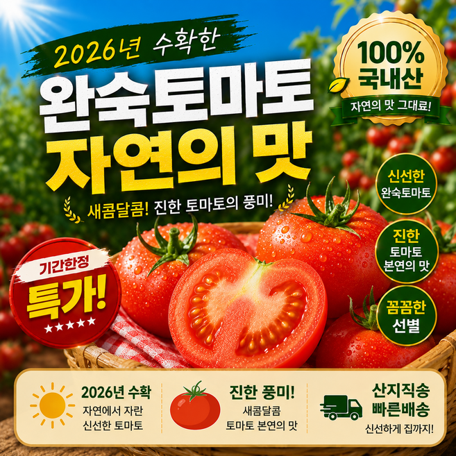 [기간한정특가] 국내산 신선하고 탱글한 완숙 토마토 산지직송, 1박스, 5kg(가정용)