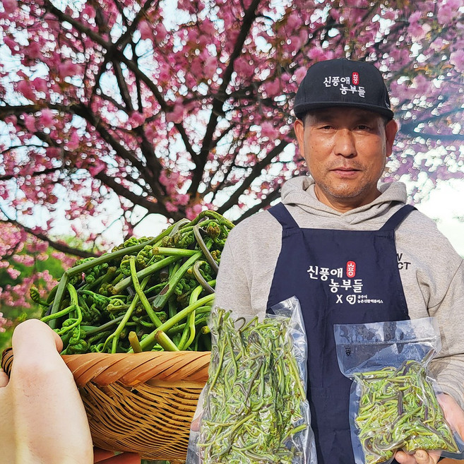 햇고사리 삶은 데친 고사리 500g 1kg 2kg, 건고사리 100g, 1개