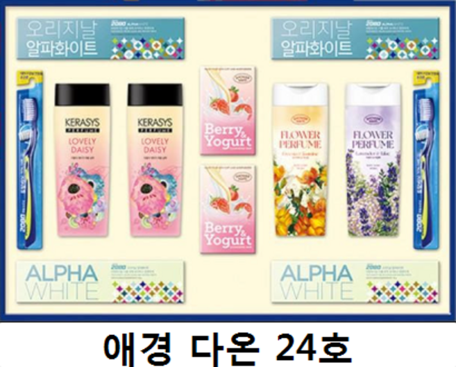 애경 다온 24호 선물세트 + 쇼핑백, 5세트