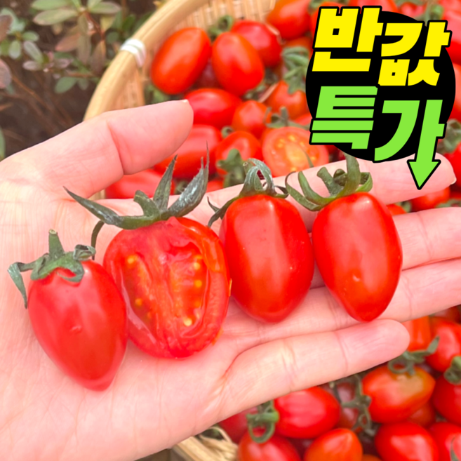[재구매1위] 자일리톨 대추 방울토마토 특품, 1개, 로얄과 2kg