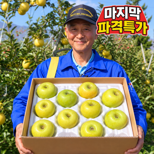 [특품노마진특가] 26년햇 고당도 시나노골드 사과, 1박스, 5kg