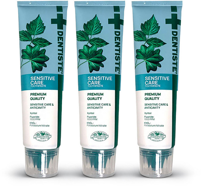 덴티스테 치약 뉴 센서티브케어 튜브 100g 4개, 1개