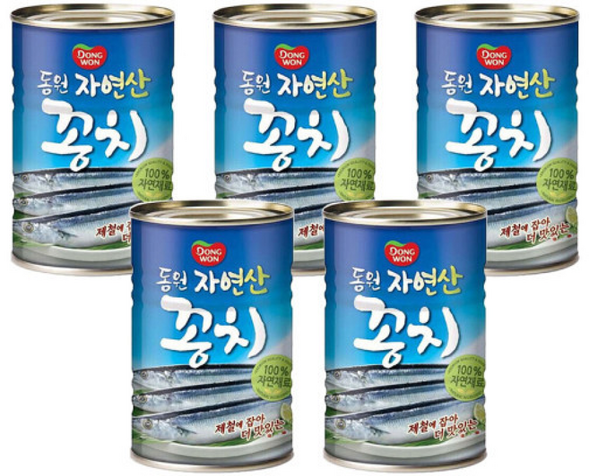 동원 자연산 꽁치, 5개, 300g
