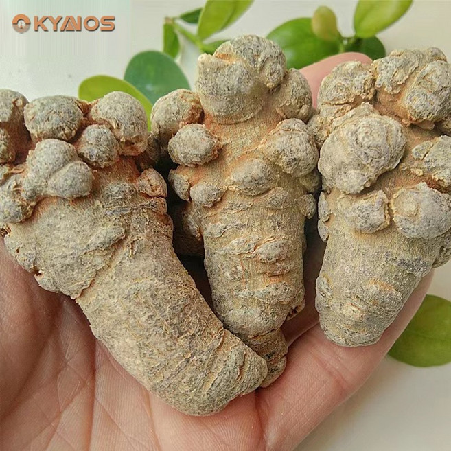 OKYAIOS 전칠삼 삼칠 삼칠근, 500g, 33개