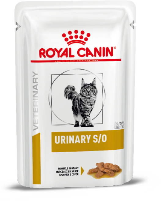 로얄캐닌 캣 유리너리 SO 머셀 인 그레이비 파우치 85GX12개