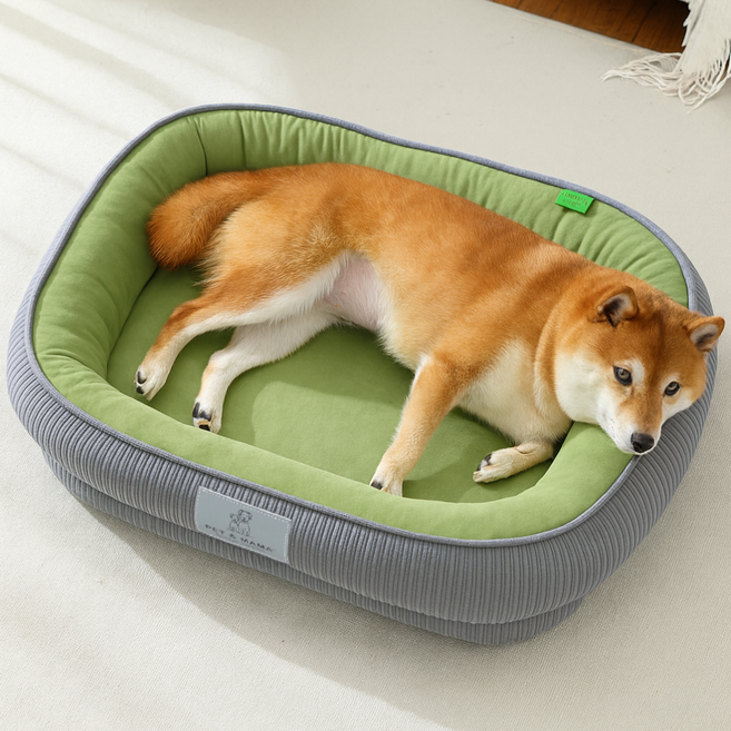 (품질UP 가격 DOWN) 런레이더 반려동물 강아지 마약 방석, 그린, 1개