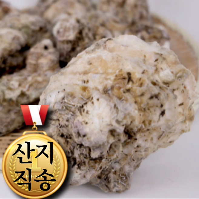 제철담다 거제 청정바다 생 바위굴 알 꽉찬 참굴 신선포장 당일발송, 1박스, 5kg