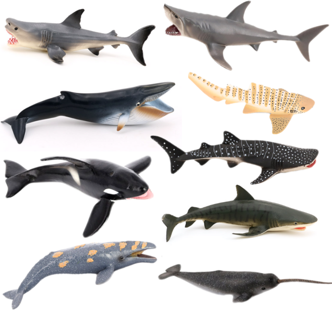 제트피규어 29종 해양 바다 동물 생물 상어 물고기 장난감 피규어 모형 일각고래 동물상어, 5. 뱀상어, 1개