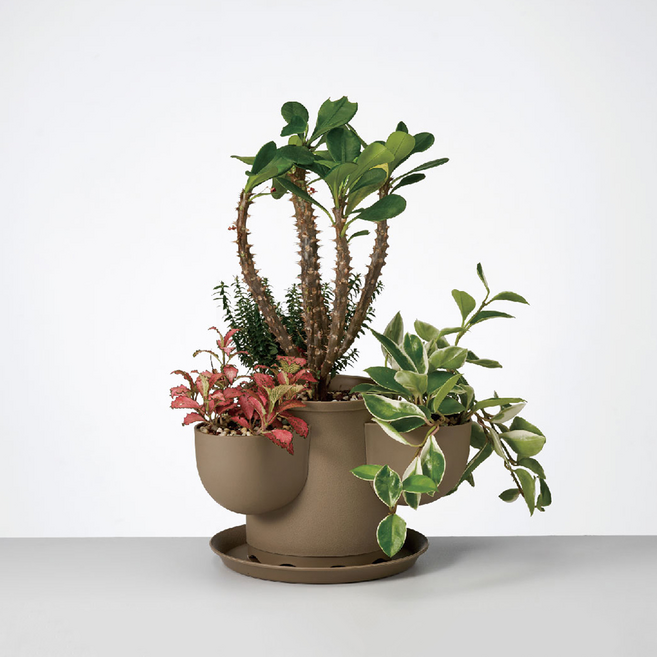 다육이 화분 슬릿 화분 베란다 다육 국산 플라스틱 거실 분갈이 중형 대형 인테리어 아띠누리, 1개, 브라운