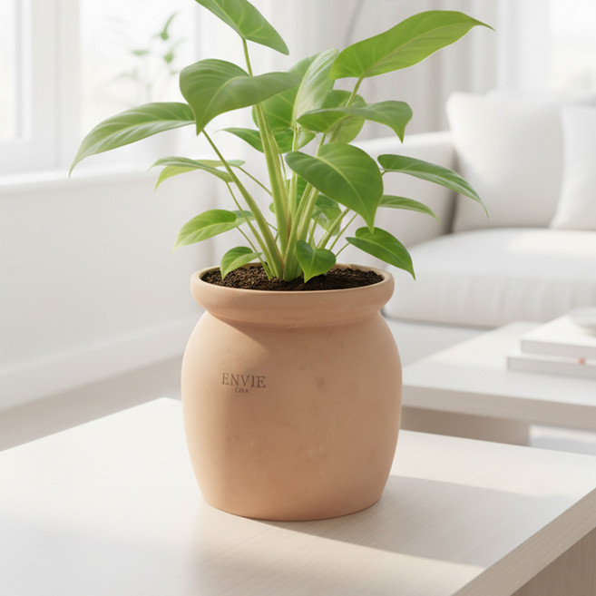 앙비까사 B185 우유병화분 토분 빈지티 인테리어 실내 화분, 1개, 피치