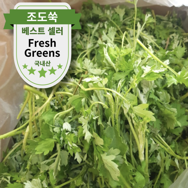 전남 진도 조도쑥 해풍맞고 자란 노지 참쑥 향기로운 봄나물 햇 생쑥, 1박스, 1kg