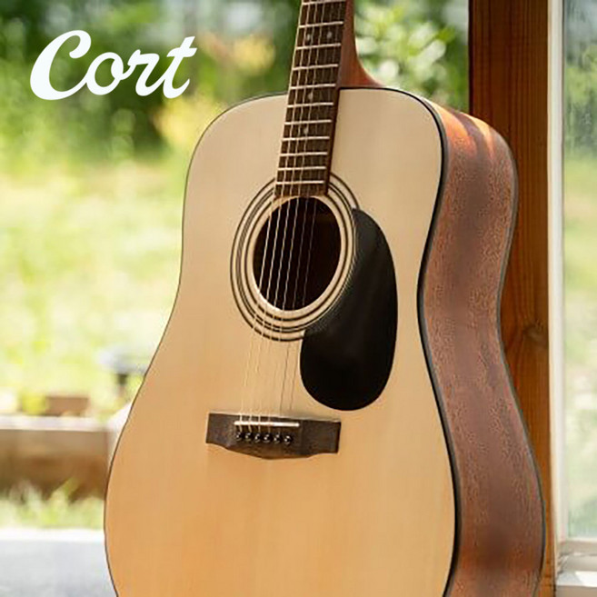 콜트 통기타 스탠다드 시리즈 AD810, AD810 NS