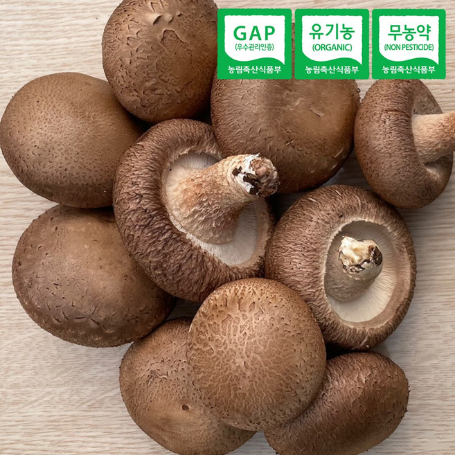 국내산 유기농 표고버섯 2kg 동고 상 GAP 인증 농장직송, 1개