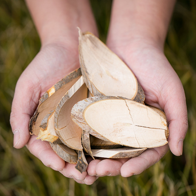 국산 감태나무 200g 감태차 염증차 가지 향신료 말린 건조 건 한방 차 약재 국내산 숙면, 12R_국)감태나무200g, 1개