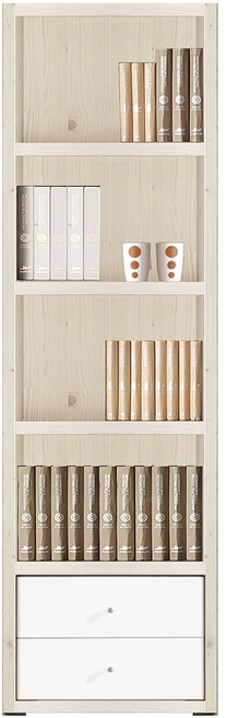 예뫼솔 2000시스템5단책장(하서랍형) TV책장 책꽂이 수납장 진열장, 5단-0600책장(하서랍)-워시, 5단