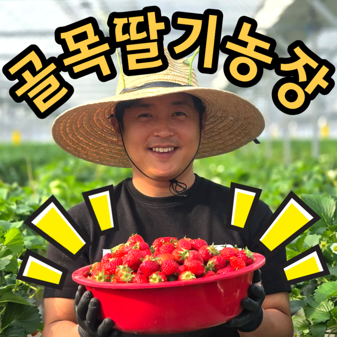 [청년농부] 3대가업 설향 딸기 프리미엄 꿀brix, 2개, 특상 750g