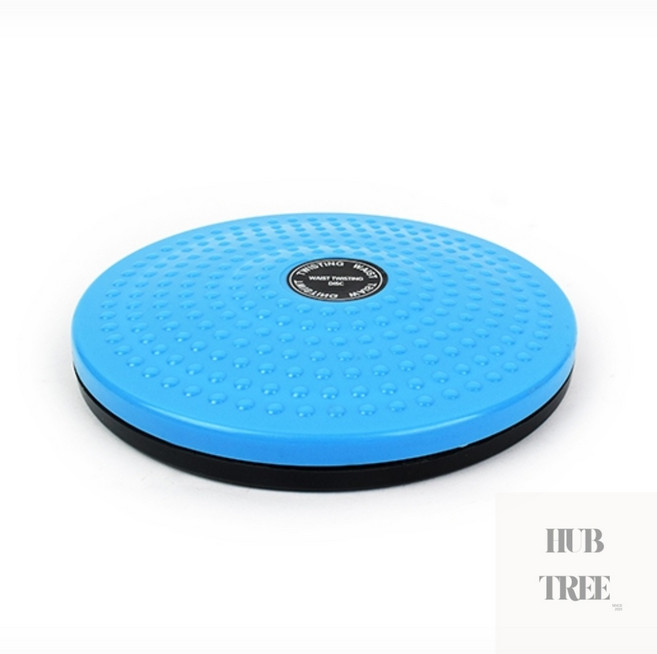 트위스트 원반 회전 운동기구 헬쓰 홈트