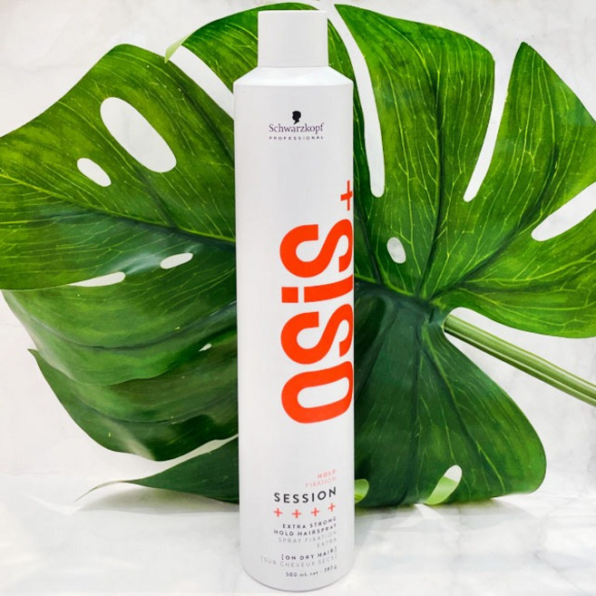 Schwarzkopf OSIS+ SESSION 強化定型噴霧, 1個, 黑炫風定型噴霧500ML-2027/01