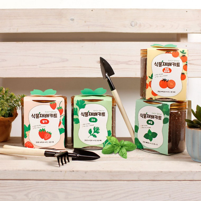 이지그로우 방울토마토 딸기 고수 바질 키우기 키트, 09재배키트-파슬리