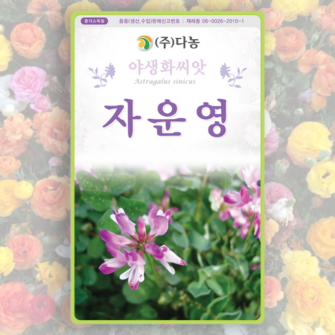 꽃씨앗 키우기 자운영 2g, 1개