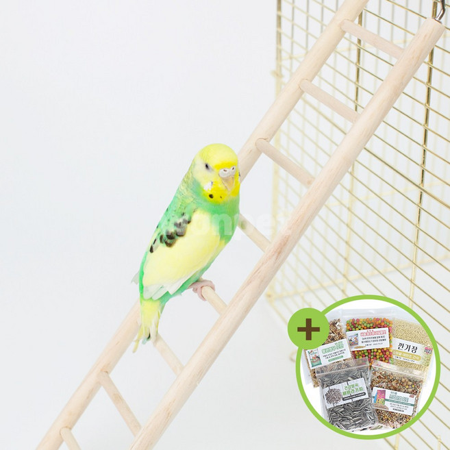 9스텝 사다리 앵무새 코뉴어 장난감 나무 버드토이, 상세 설명 참조