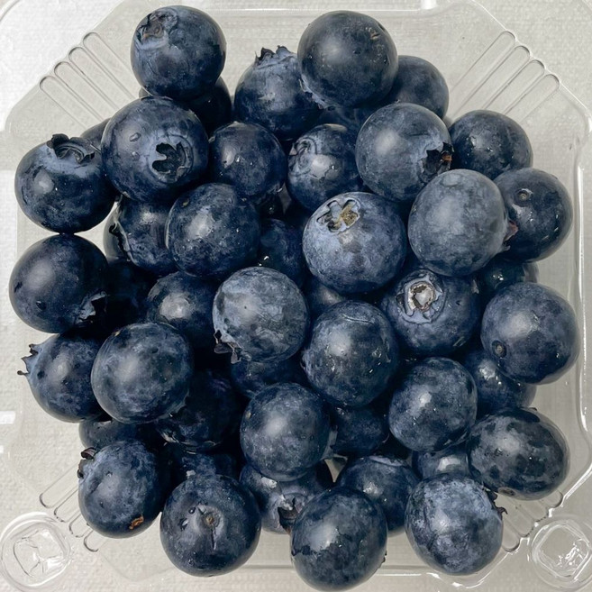 국내산 블루베리 대과 100g, 1개