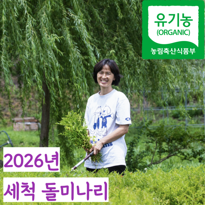 [품질보장] 유기농 친환경 국내산 순창 돌미나리 밭미나리 세척 손질 미나리, 1kg, 1개