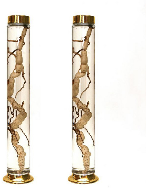 용천자연유리 담금주병 수동 47호 2개