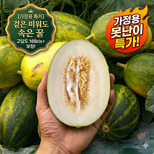 [더밭 산지직송] 경북 고령 가정용 못난이 파파야메론 2kg 3kg 5kg 혼합과 가성비, 1박스, [실속형] 가정용 꿀 파파야메론 3kg (7~10과)