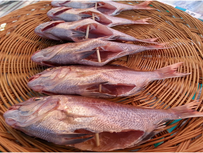 제수용생선 국산참돔 41-42cm 각종생선 파는곳 싱싱수산, 1개